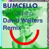 Ra Lontano (David Walters Remix) - Single album lyrics, reviews, download