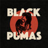 Black Pumas - Black Pumas  artwork
