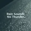 Rain Sounds No Thunder album lyrics, reviews, download
