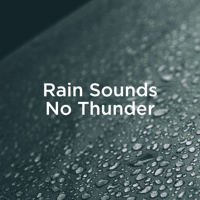 Rain Sounds & Rain for Deep Sleep - Rain Sounds No Thunder artwork