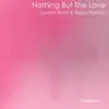 Stream & download Nothing but the Love - Single