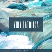 Vida Catolica artwork
