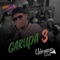 Garupa, Pt. 3 (feat. MC Nando & MC Luanzinho) - Dj Henrique de ferraz lyrics