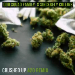 Crushed up 420 Remix - Single by Odd Squad Family & Sincerely Collins album reviews, ratings, credits