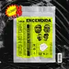 Loca Encendida (feat. Dj Krizis & Mcfly Beatz) - Single album lyrics, reviews, download