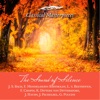 The Sound of Silence -J. S. Bach,F. Mendelssohn Barholdy, L. v. Beethoven, f. Chopin, K. Ditters von Dittersdorf,J. Haydn, J. Pachelbel,G. Puccini