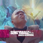 Seng'yabala Nkosi artwork