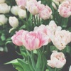 Happy - Single