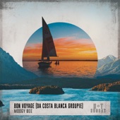 Bon Voyage (Da Costa Blanca Groupie) artwork