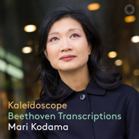 Mari Kodama - Kaleidoscope artwork