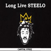 Long Live Steelo artwork