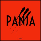 Panja artwork