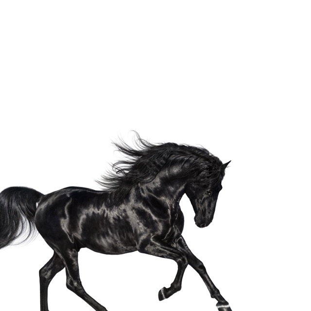 Lil Nas X Old Town Road - Single Album Cover