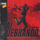 Vai Quebrando (Desce Que Desce) (feat. DJ Seduty) artwork