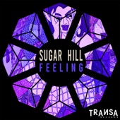 Feeling (Radio Edit) artwork