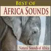 South African Bush Birds song lyrics