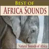 Stream & download South African Bush Birds