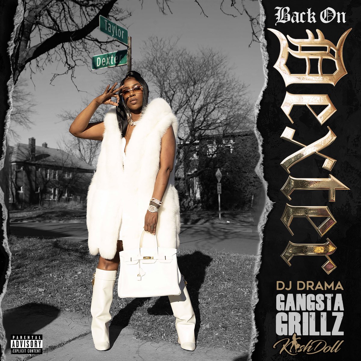 1200x1200bf 60 Back on Dexter: A Gangsta Grillz Mixtape by Kash Doll