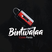Bintwalaa artwork