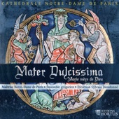 Mater Dulcissima artwork