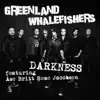 Darkness (feat. Åse Britt Reme Jacobsen) - Single album lyrics, reviews, download