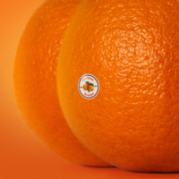 Emotional Oranges - The Juice, Vol. II artwork