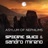 Asylum of Nephilims (Radio Edit)
