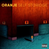 Self Storidge artwork