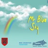 Mr. Blue Sky - Single