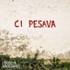Ci Pesava