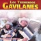 Vagabunda - Los Tremendos Gavilanes lyrics