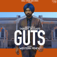 Tarsem Jassar - Guts artwork