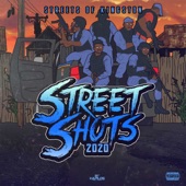 Street Shots 2020: Streets of Kingston artwork