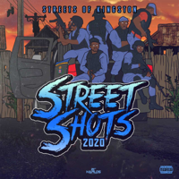 Various Artists - Street Shots 2020: Streets of Kingston artwork