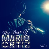 The Best Of Mario Ortiz, Vol. 2 artwork