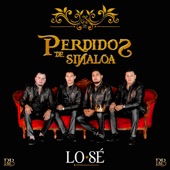 Perdidos De Sinaloa - Voy a Amarte