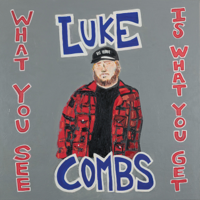 Luke Combs - What You See Is What You Get artwork