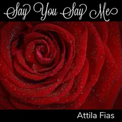 Say You Say Me - Single - Attila Fias Say You Say Me - Single - Attila Fias