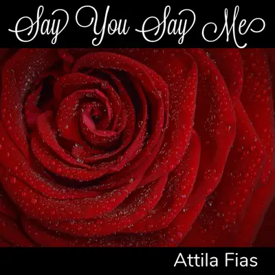 Say You Say Me - Single - Attila Fias