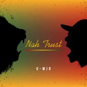 Nah Trust artwork