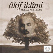Akif İklimi 3 artwork