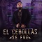 El Cebollas Se Fue - Jesús Chairez lyrics