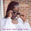 Too Many Irons in the Fire - Single