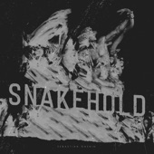 Snakehold artwork