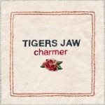 Tigers Jaw - What Would You Do