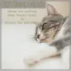 Cat Sleep Music: Gentle and Soothing Sleep Therapy Music for Anxious Cats and Kittens album lyrics, reviews, download
