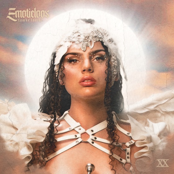 Cover artwork for Emotieloos