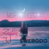 Моя принцесса (Remix Swerodo) - Single