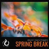Spring Break artwork