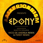Edony (Nico De Andrea Extended Remix) artwork